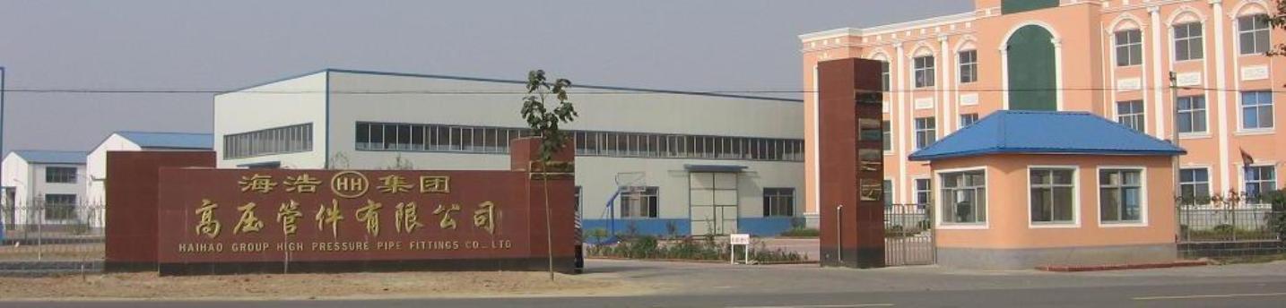 Hebei HaiHao High Pressure Flange & Pipe Fitting Group Co,.Ltd