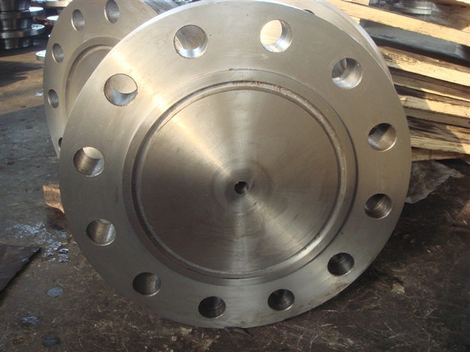 Stainless Steel Blind Flange