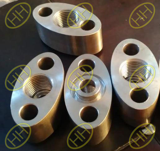 ASTM A182 F304 Oval Flange Finished In Haihao Flange Factory